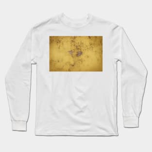 Age old wooden door with cracked paint, close up. Fragment of a rustic textured wall Long Sleeve T-Shirt